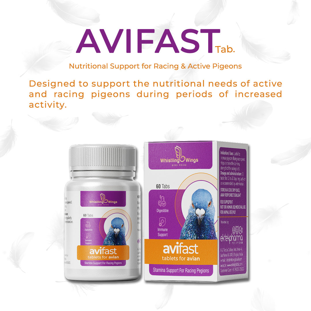 Avifast Tablets for Avian 60 Tablets – Supplement for Racing Pigeons