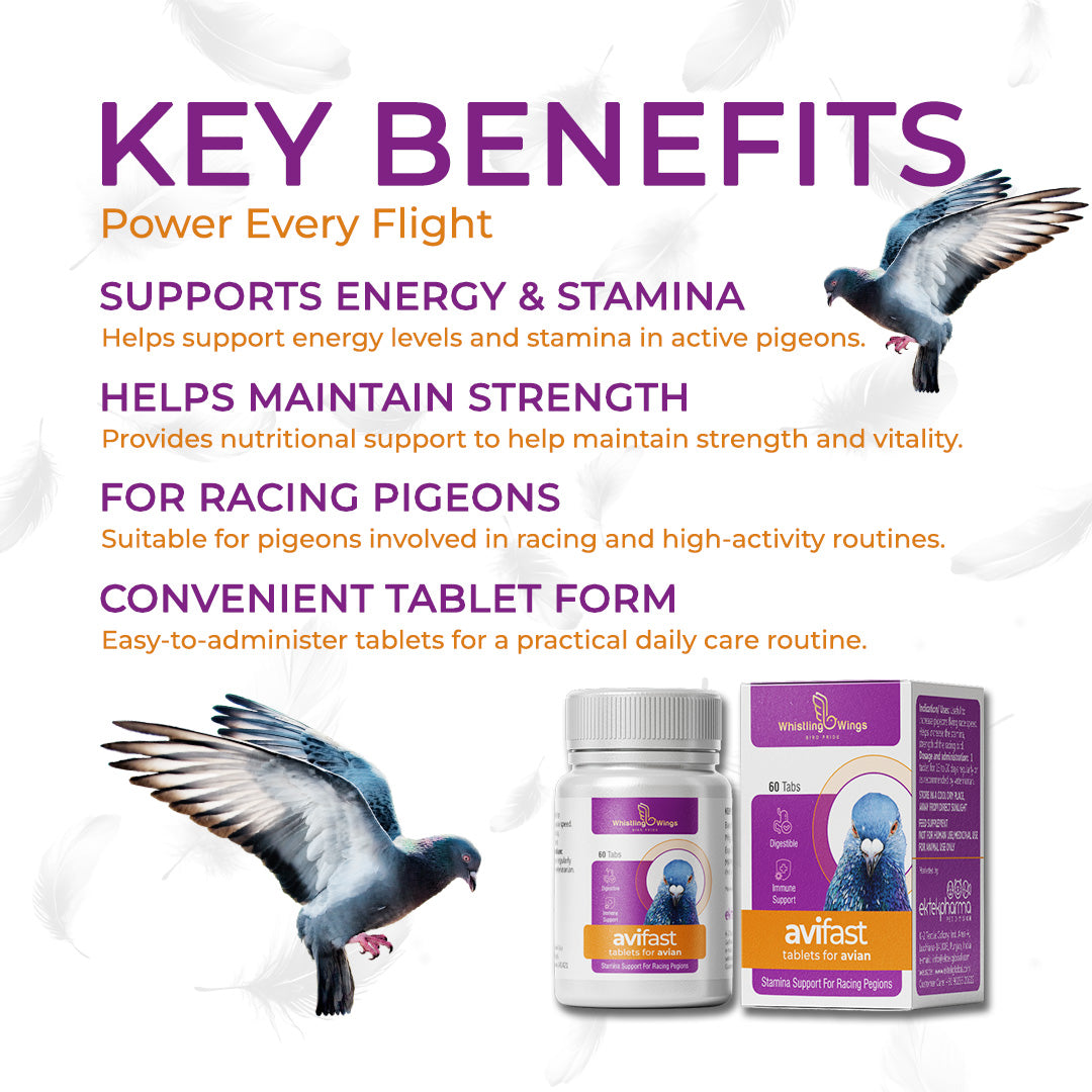 Avifast Tablets for Avian 60 Tablets – Supplement for Racing Pigeons