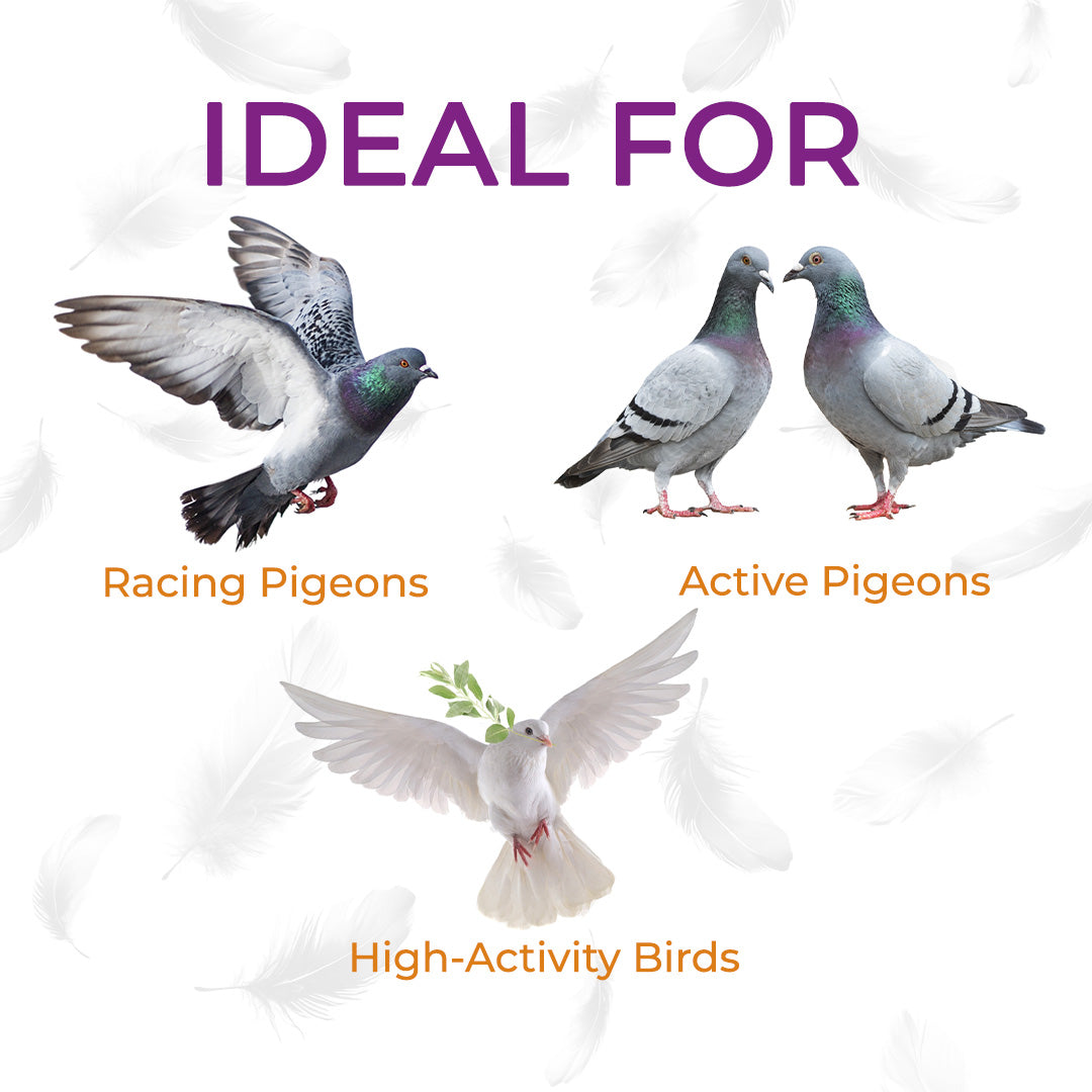 Avifast Tablets for Avian 60 Tablets – Supplement for Racing Pigeons