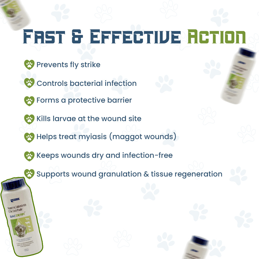 BACDERM advanced wound care powder composition label