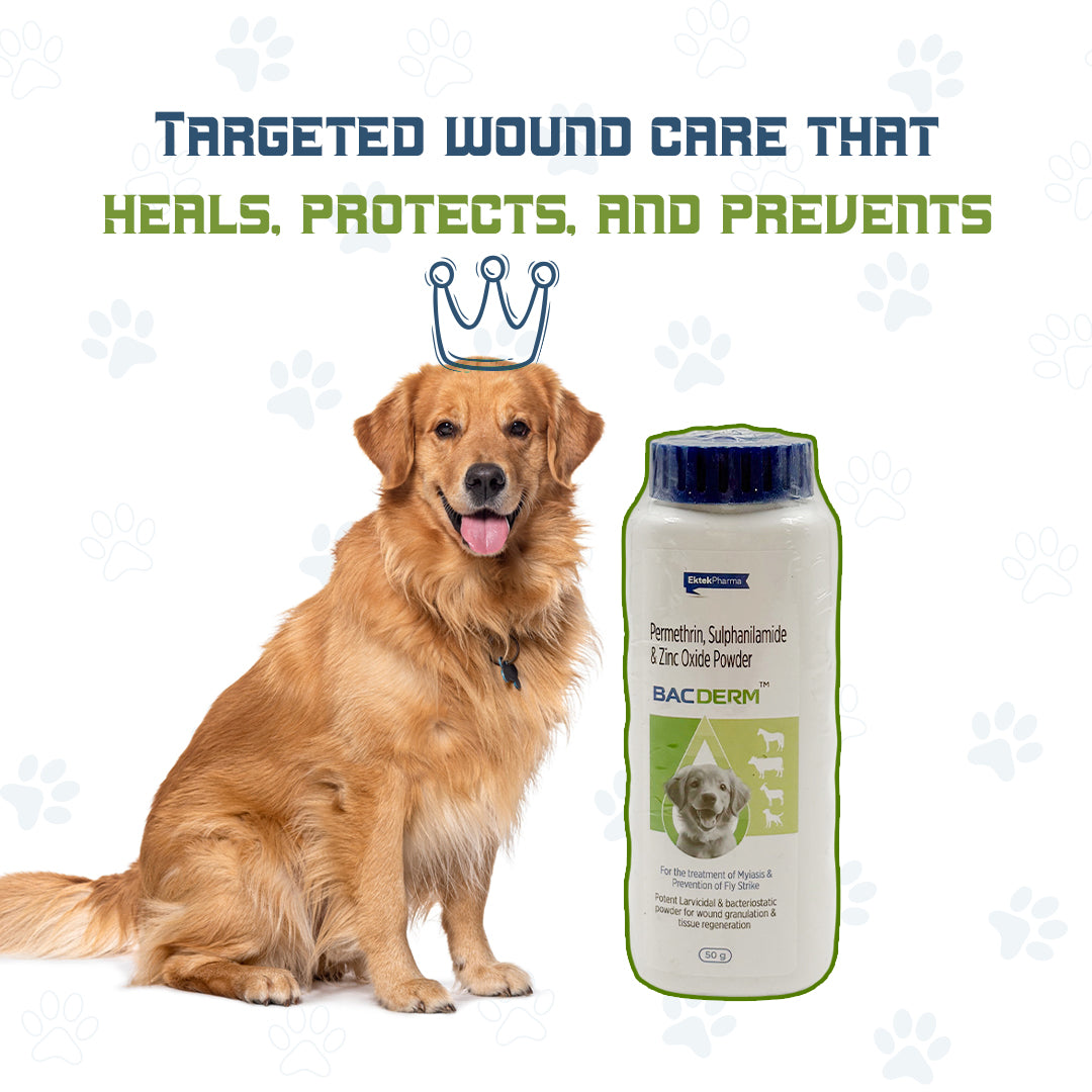 BACDERM antibacterial powder for cat and dog wounds