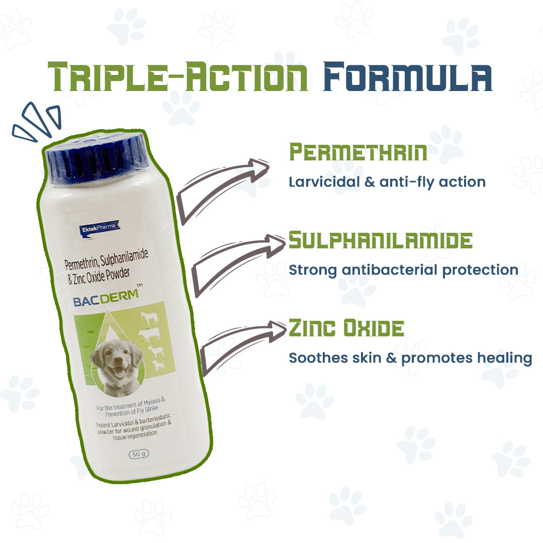 BACDERM wound powder for tissue regeneration in dogs