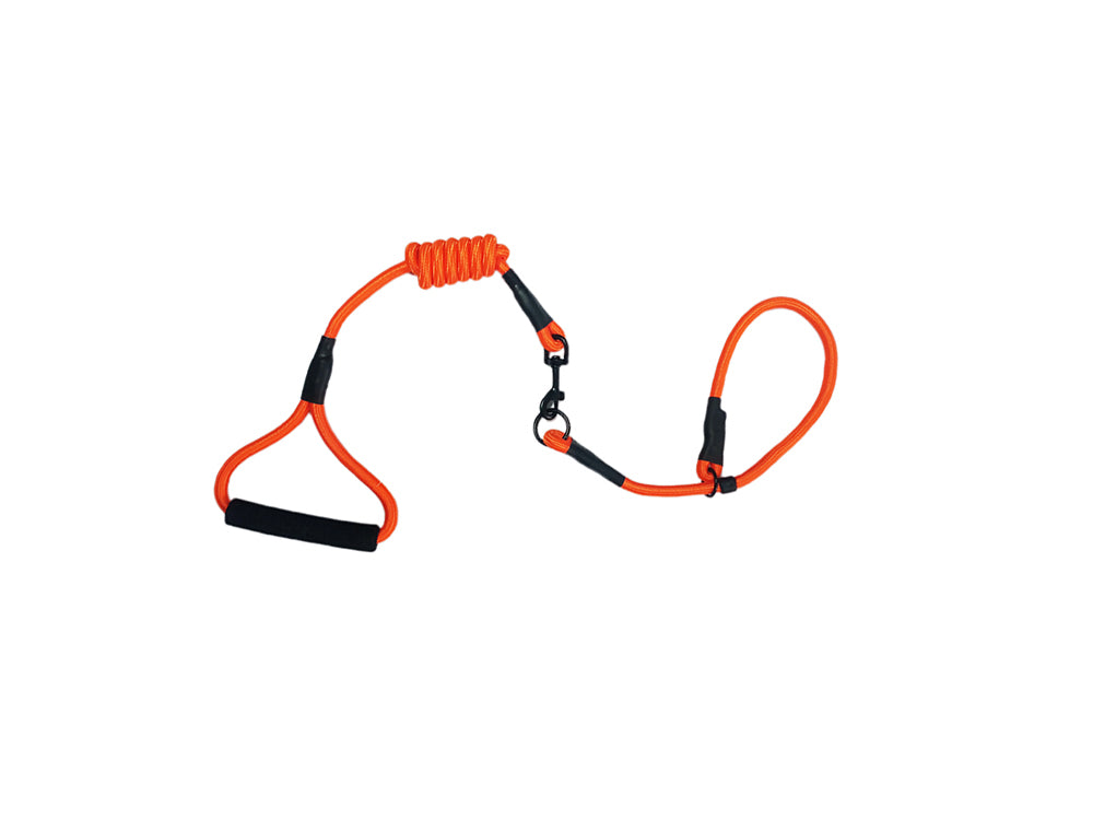 Orange and black band in india 