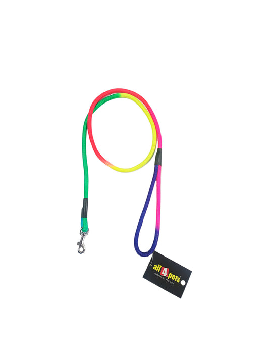 Multi color dog leash in india