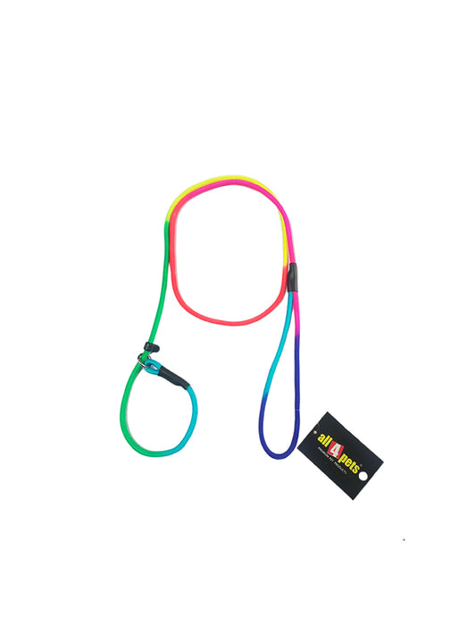 Multi color dog leash in india