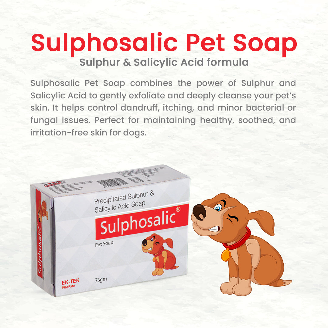 Benefits of Sulphosalic antibacterial and anti-dandruff dog soap