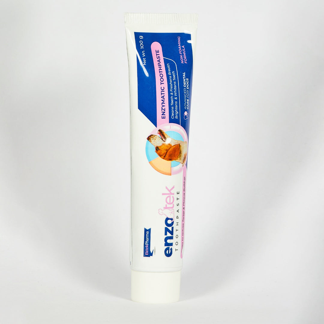 Brushing dog teeth with enzyme toothpaste for daily dental care routine
