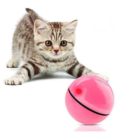 All4pets Playing Product for Dogs &amp; Cats(Built-in LED light)(6.4cm Ball Shape)