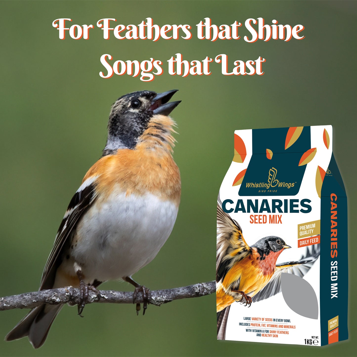 Canary Seed Mix | Premium Bird Feed for Canaries & Finches