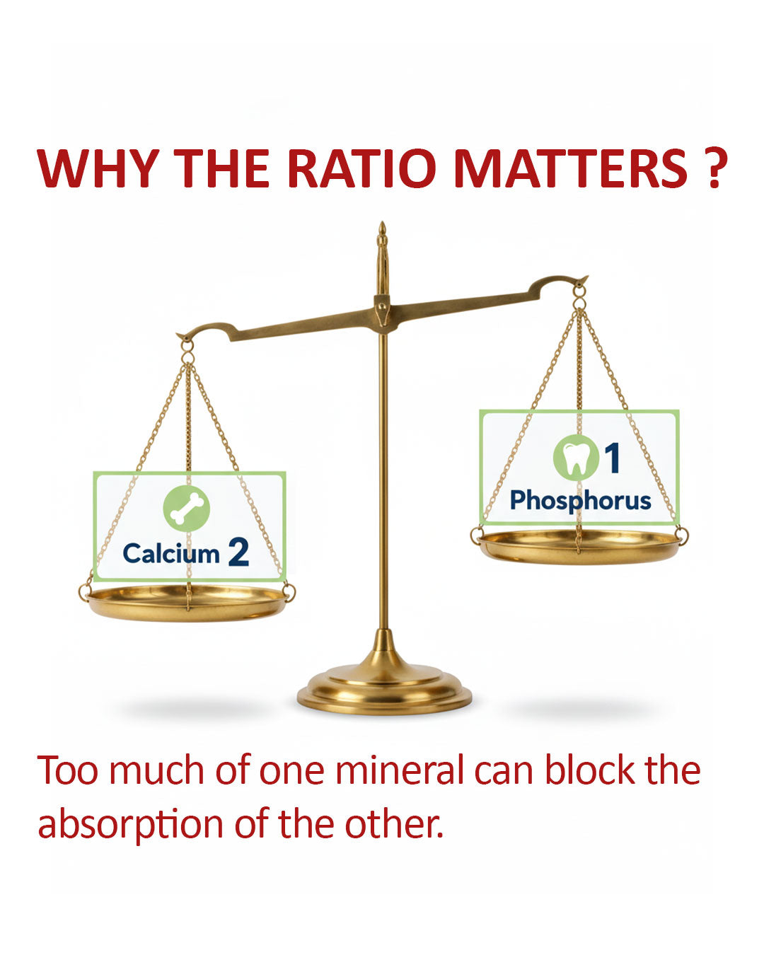 Calcium and phosphorus supplement for dogs and cats