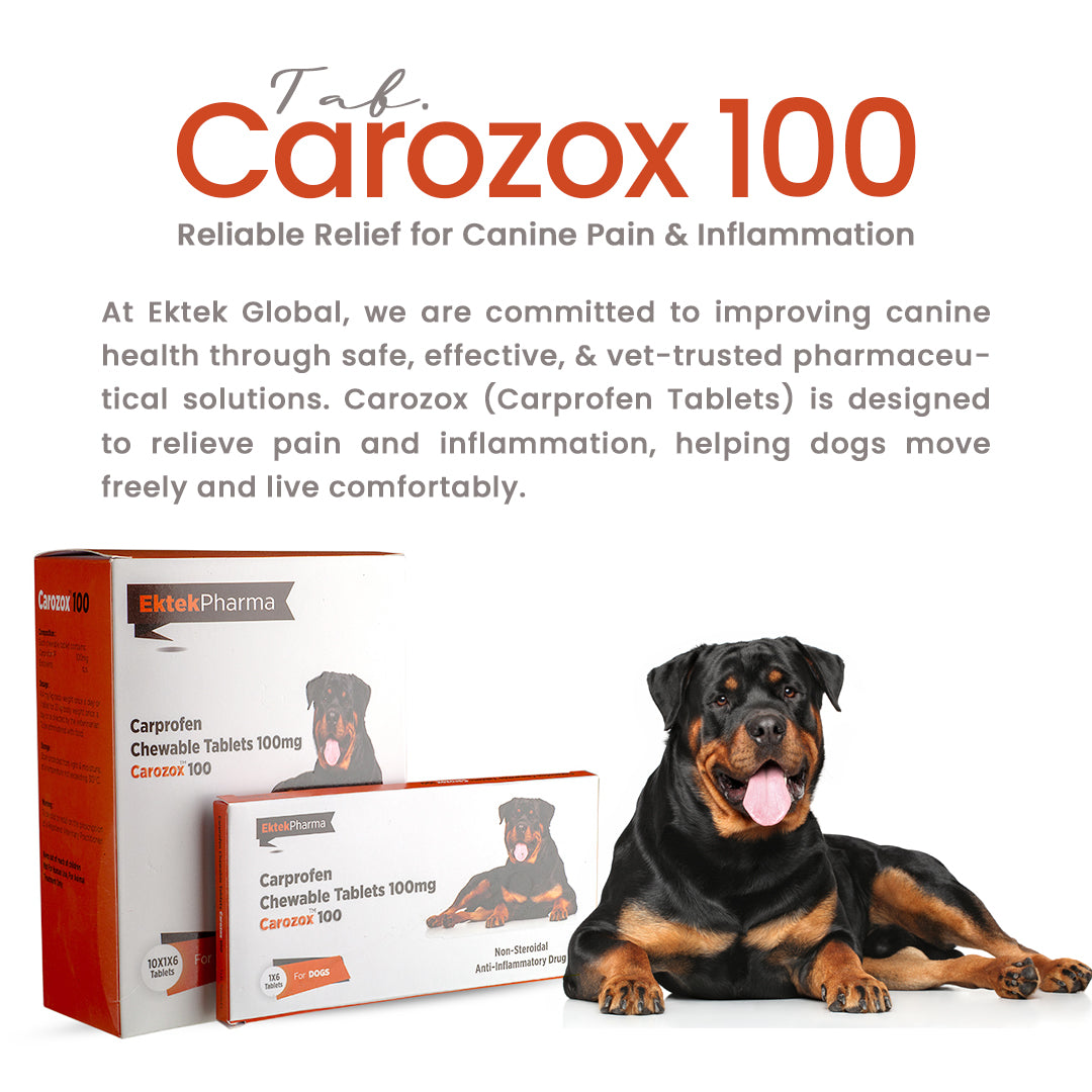 CAROZOX CARPROFEN 100MG TABLETS