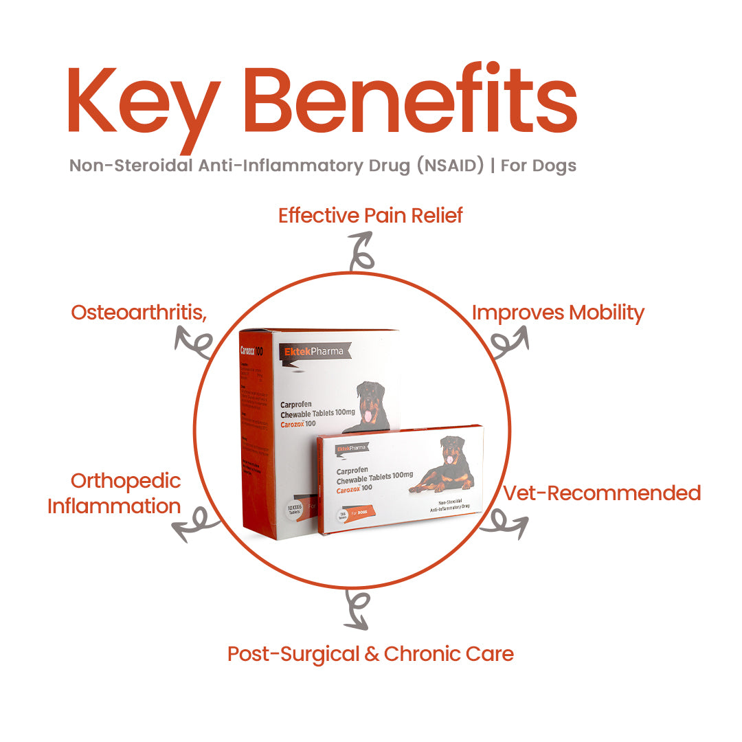 CAROZOX CARPROFEN 100MG TABLETS
