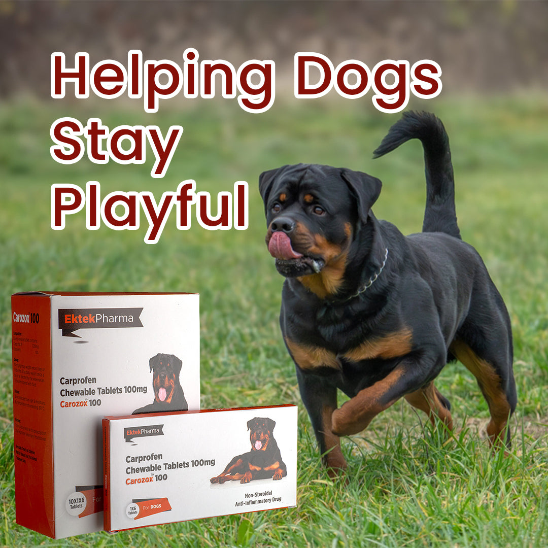 CAROZOX CARPROFEN 100MG TABLETS