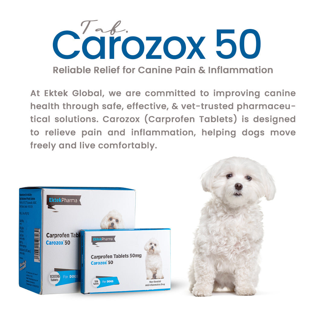 CAROZOX CARPROFEN 50MG TABLETS (PACK OF 2)