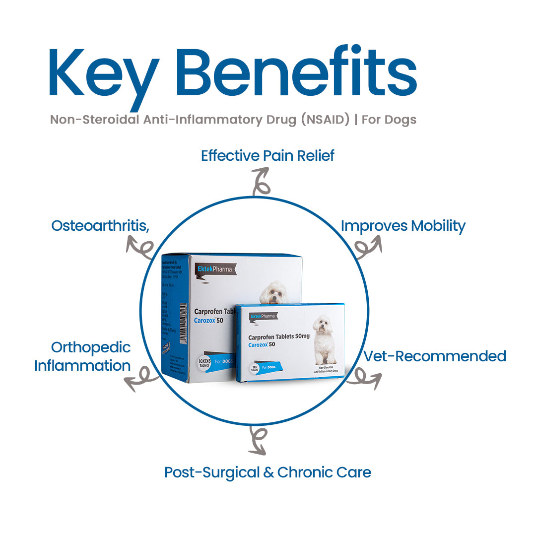 CAROZOX CARPROFEN 50MG TABLETS (PACK OF 2)
