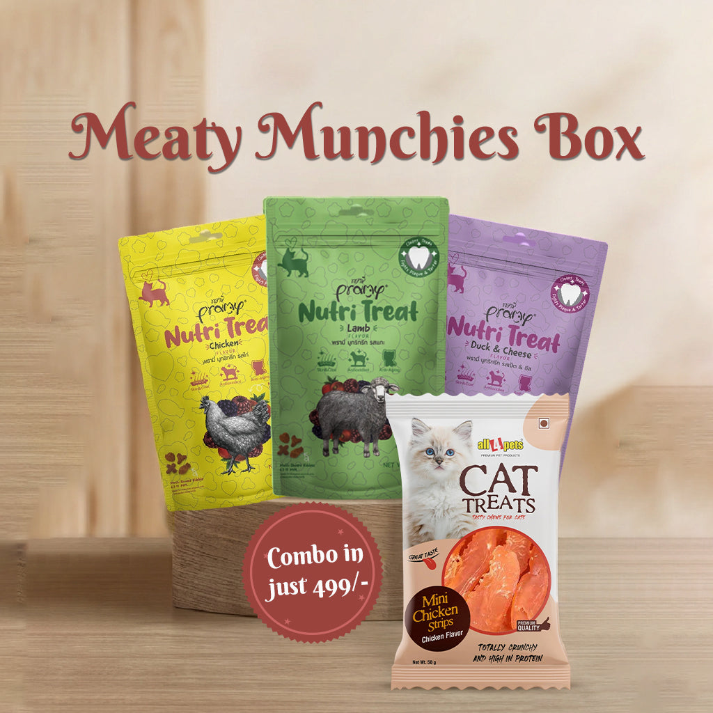 Cat treat