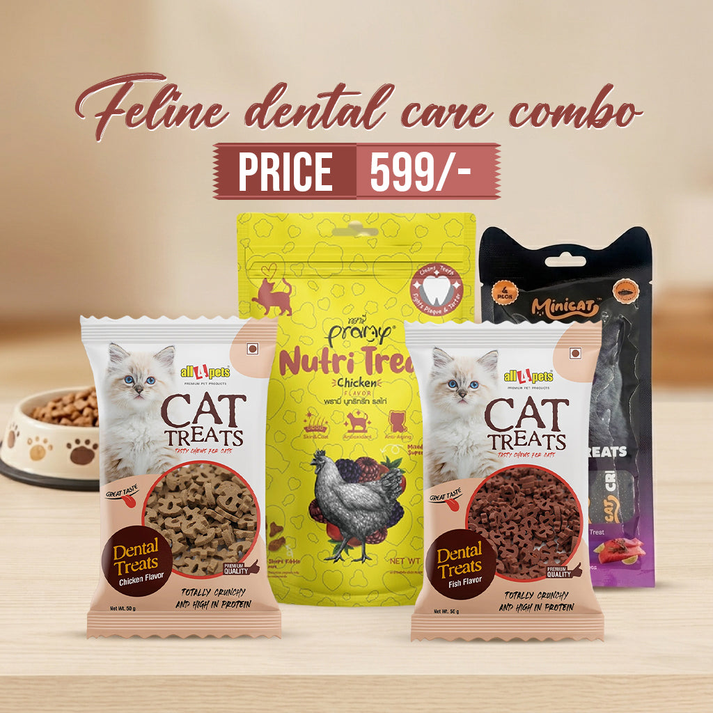Feline Dental Care Combo for Cats | Cat Treats