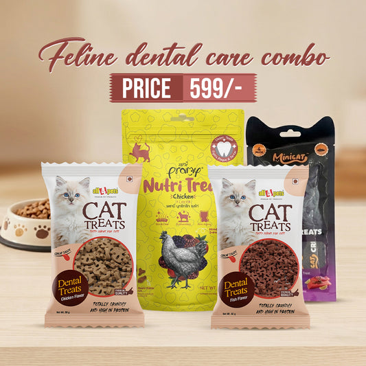 Cat-treat-combo-packs-pet-dental-care_products
