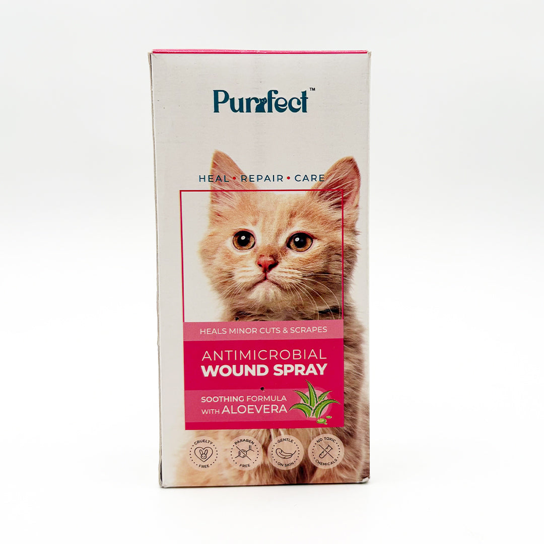 Cat Wound Spray with Aloe Vera