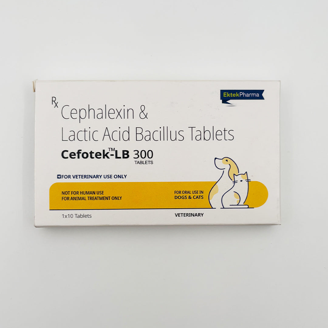 Cefotek-LB 300 tablets for gut support during antibiotic therapy
