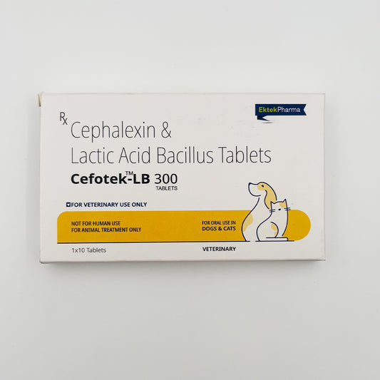 Cefotek-LB 300 tablets for gut support during antibiotic therapy