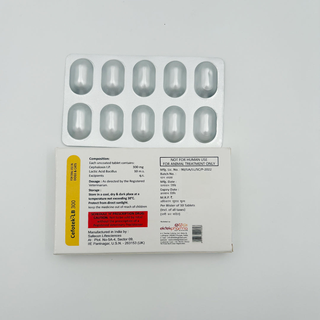 Cefotek-LB gut flora support medicine for pets