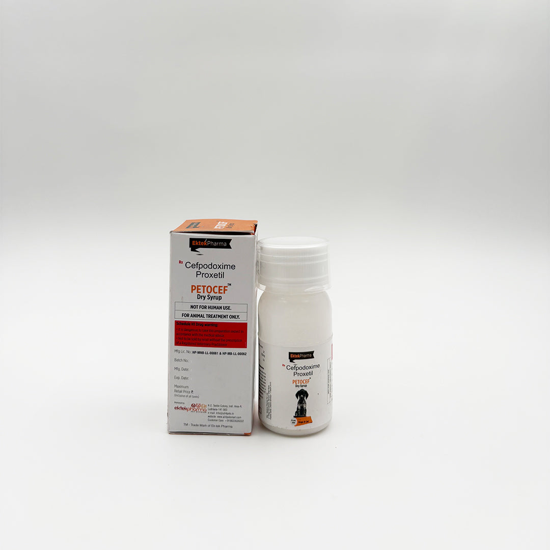 Cefpodoxime Proxetil dry syrup for pet bacterial infections
