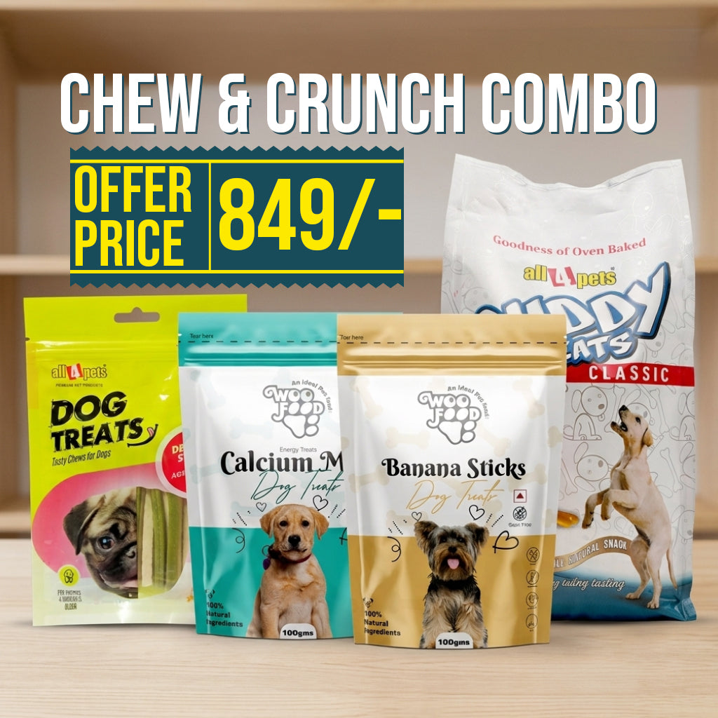 Chew & Crunch Dog Treat Combo