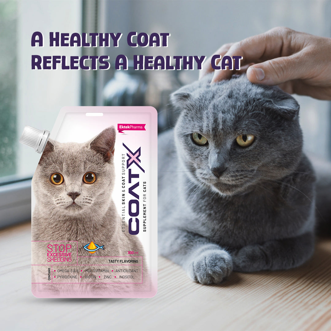 CoatX Liquid Supplement for Cats | Skin & Coat Support Formula (300 ml)