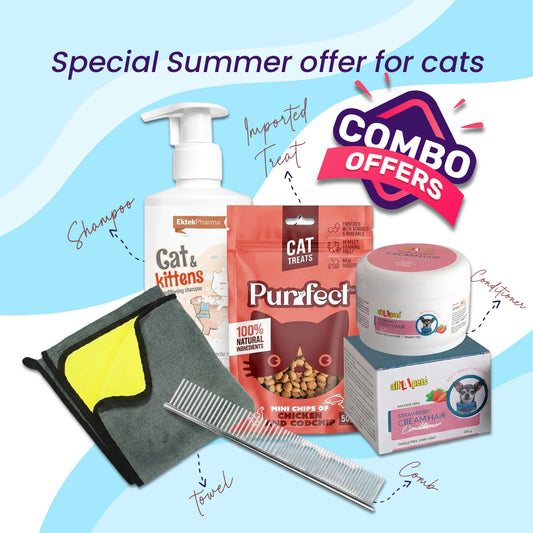 Summer Essential Kit for Cats