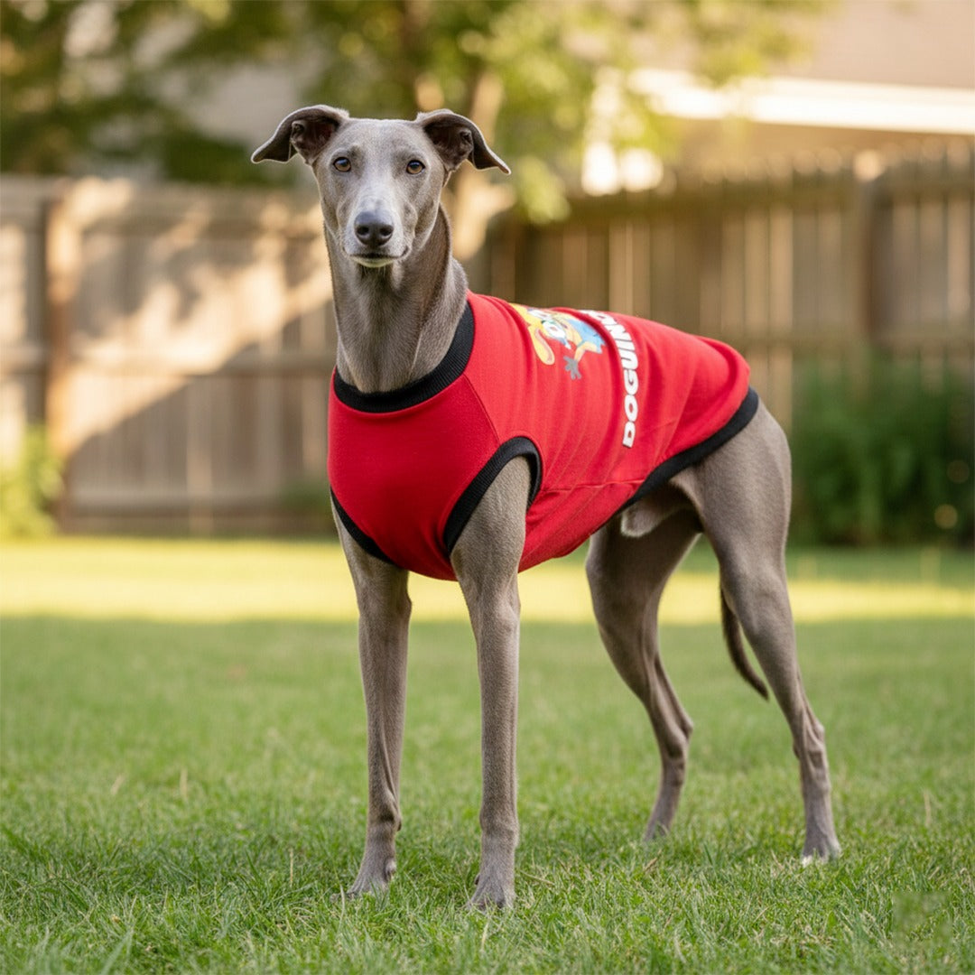 Comfortable cotton dog t-shirt