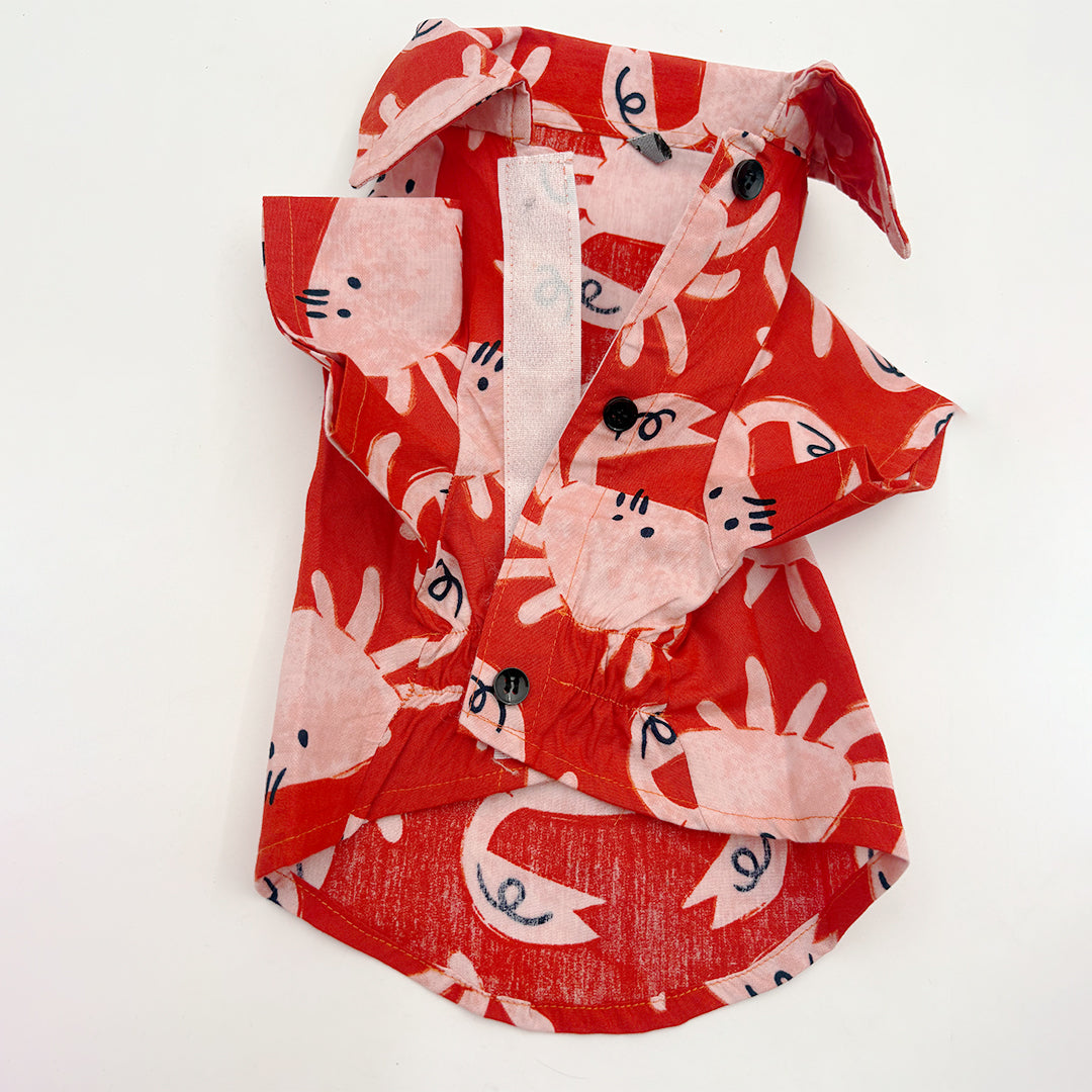 Collar Shirt for Dogs velcro