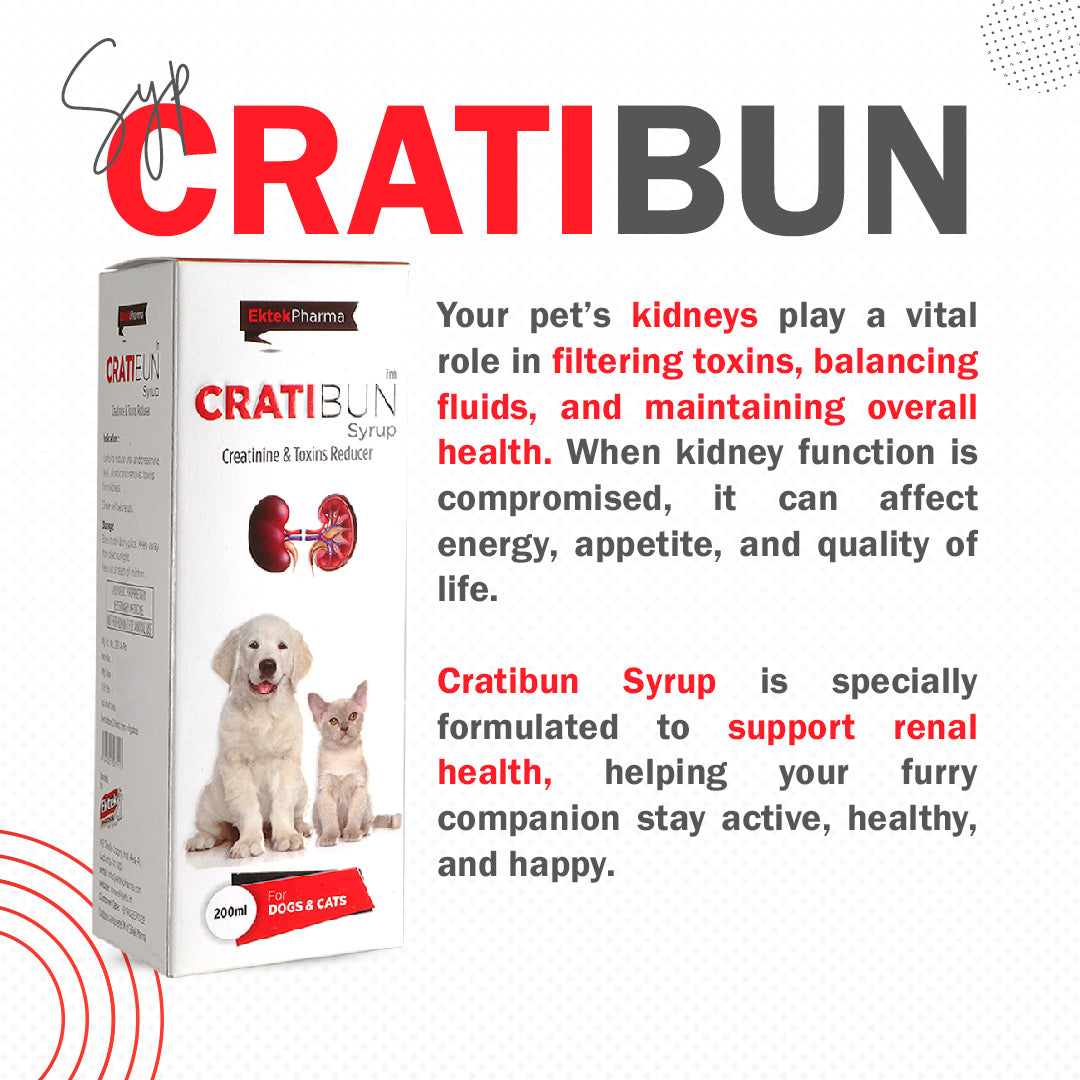 Cratibun Syrup 200ml for Dogs & Cats | Kidney Support & Creatinine Balance