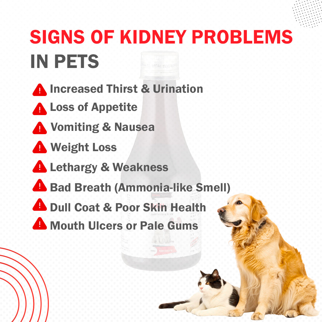 Cratibun Syrup 200ml for Dogs & Cats | Kidney Support & Creatinine Balance