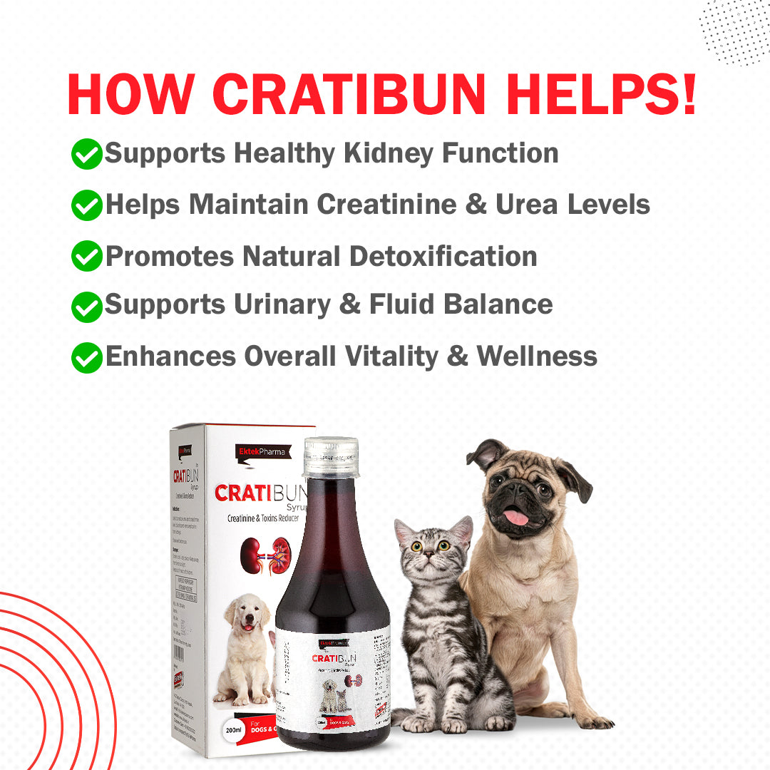 Cratibun Syrup 200ml for Dogs & Cats | Kidney Support & Creatinine Balance