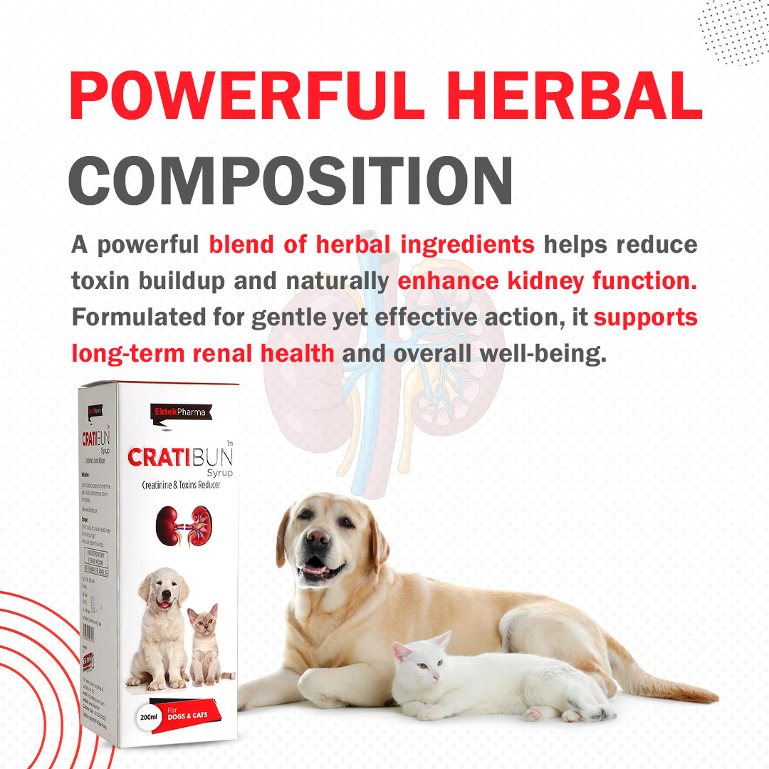 Cratibun Syrup 200ml for Dogs & Cats | Kidney Support & Creatinine Balance