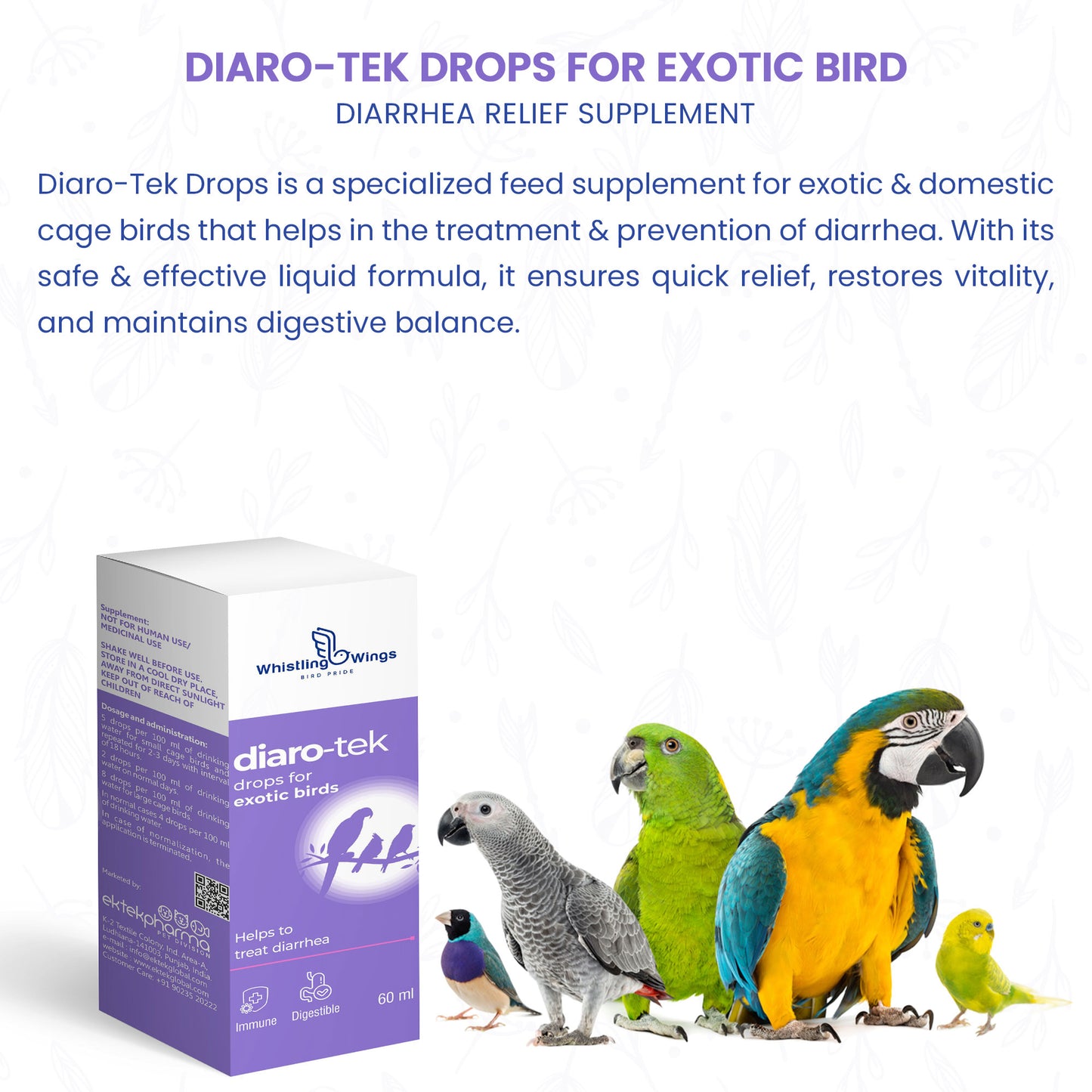 Diaro-Tek Drops for Exotic Birds 60ml | Digestive Support Supplement