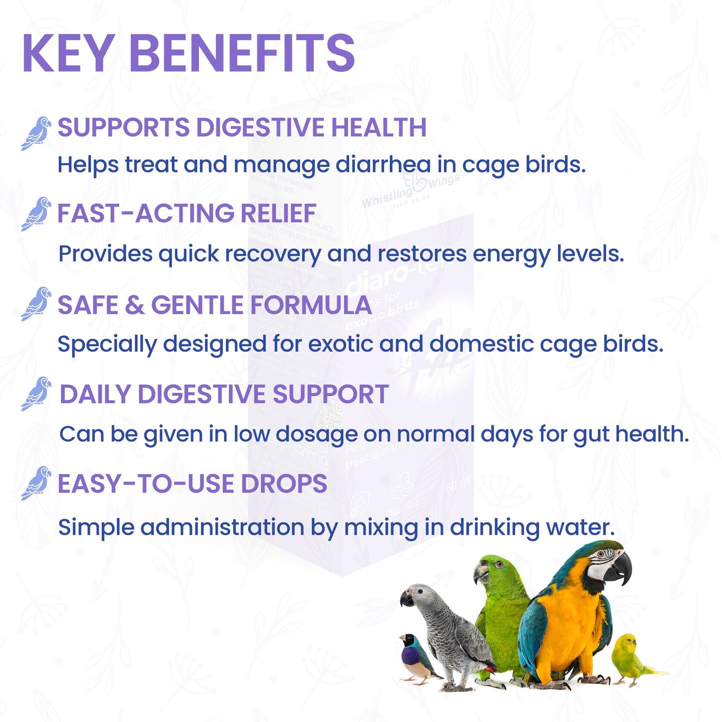Diaro-Tek Drops for Exotic Birds 60ml | Digestive Support Supplement