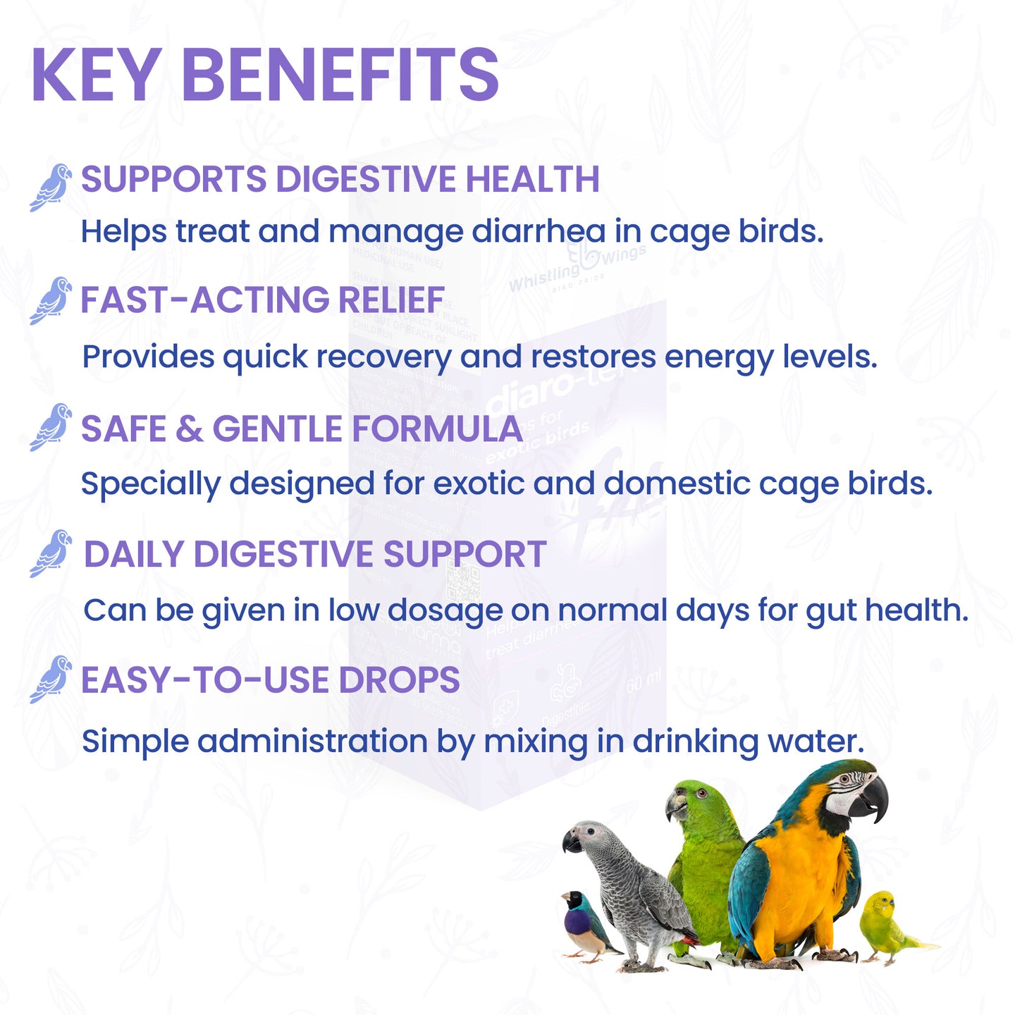 Diaro-Tek Drops for Exotic Birds 60ml | Digestive Support Supplement