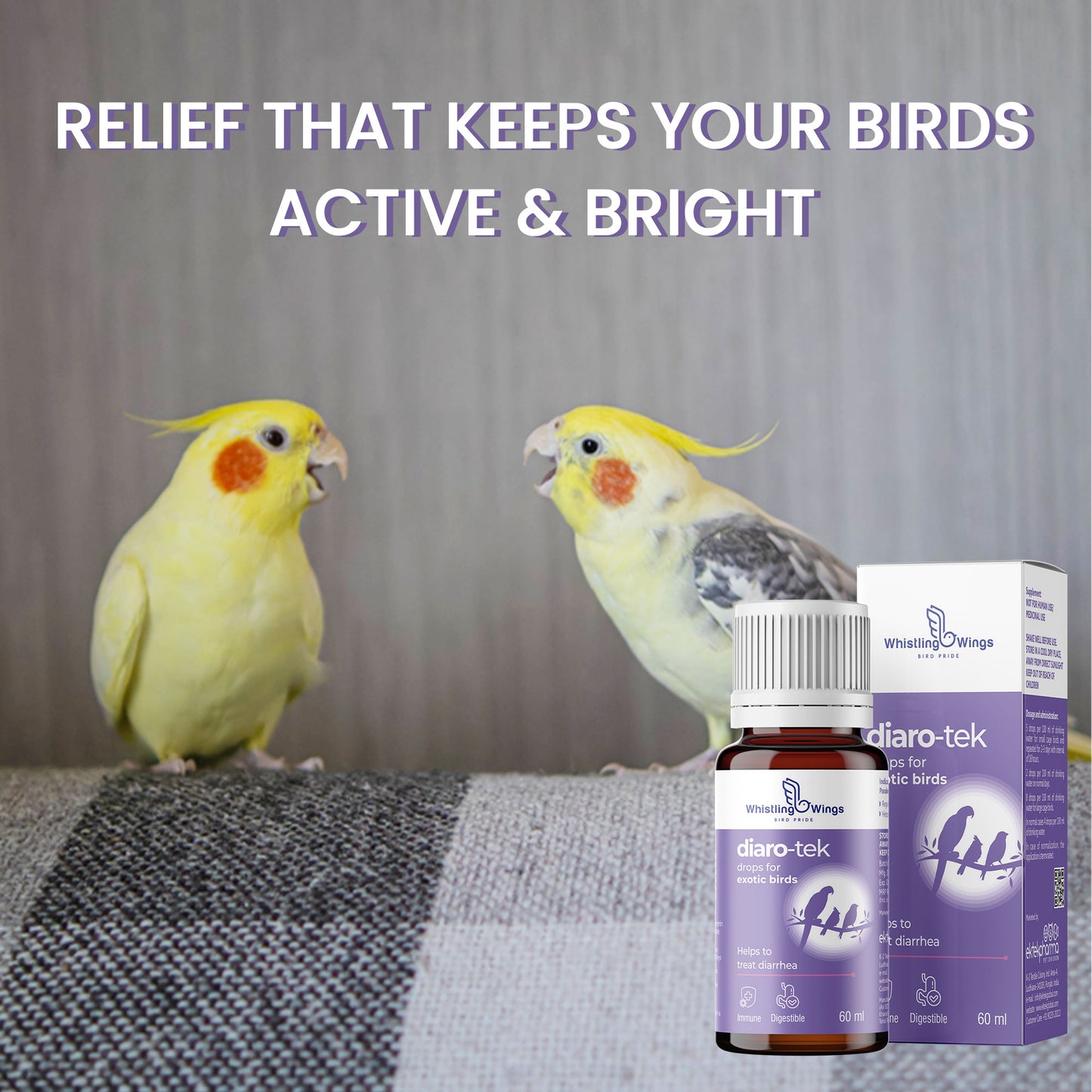 Diaro-Tek Drops for Exotic Birds 60ml | Digestive Support Supplement