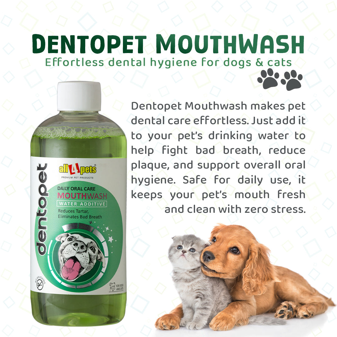 All4pets Dentopet Daily Oral Care Mouthwash For Dogs & Cats-300Ml