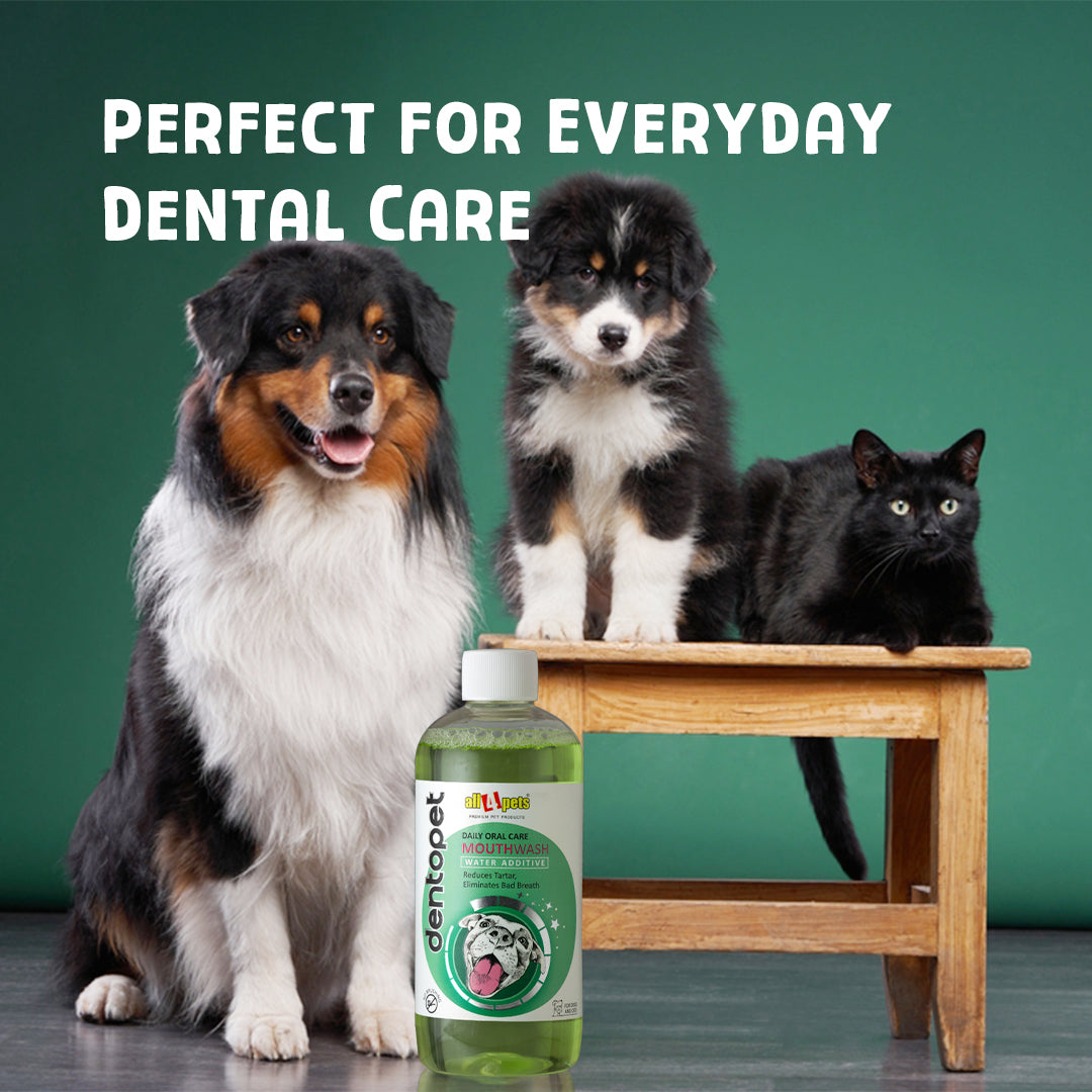 All4pets Dentopet Daily Oral Care Mouthwash For Dogs & Cats-300Ml