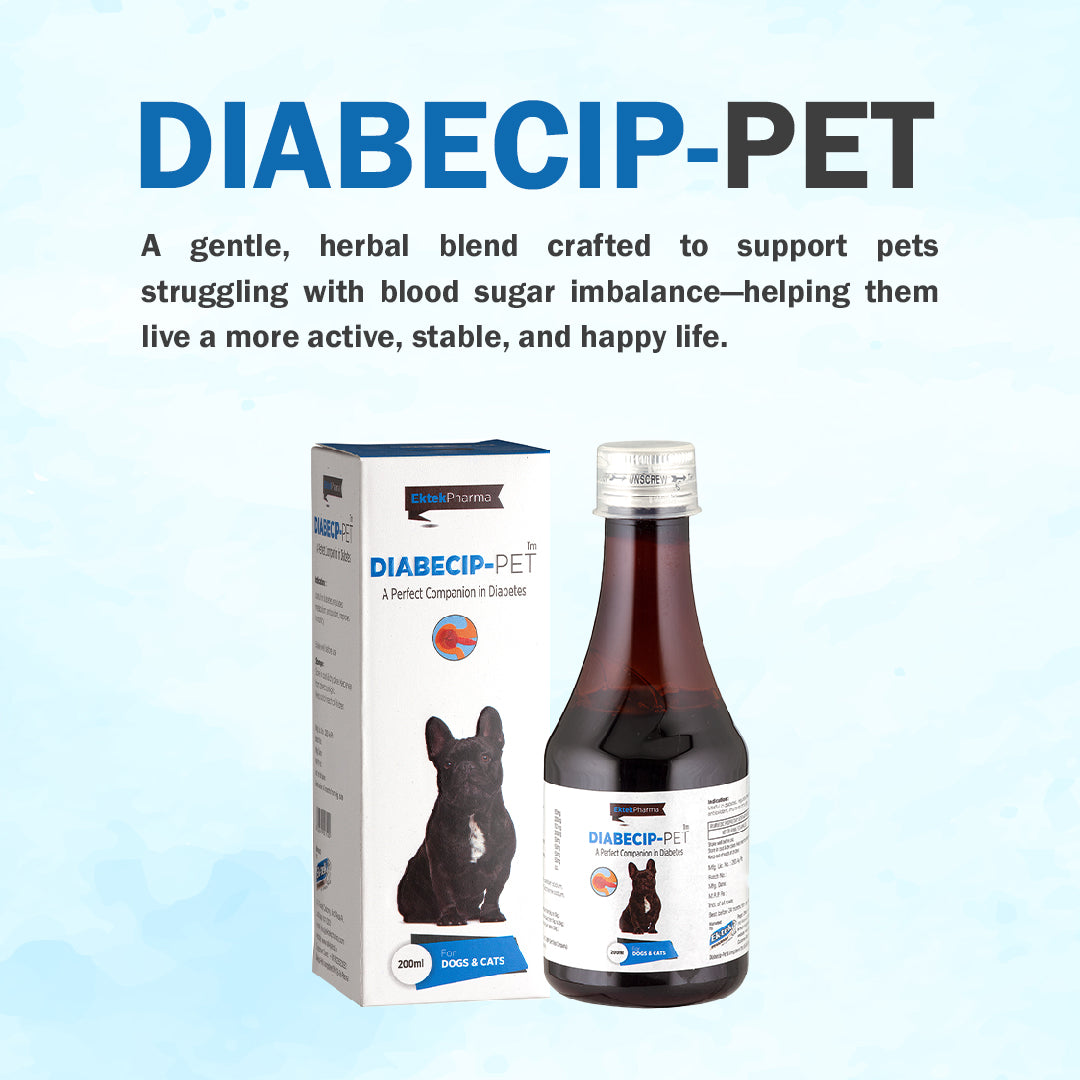 Diabecip Pet Syrup- 200ml (A Perfect Companion in Diabetes)