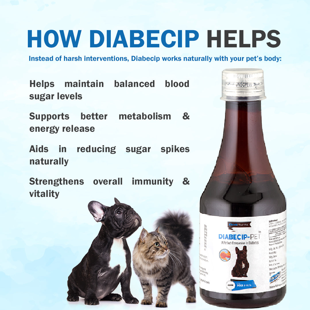 Diabecip Pet Syrup- 200ml (A Perfect Companion in Diabetes)