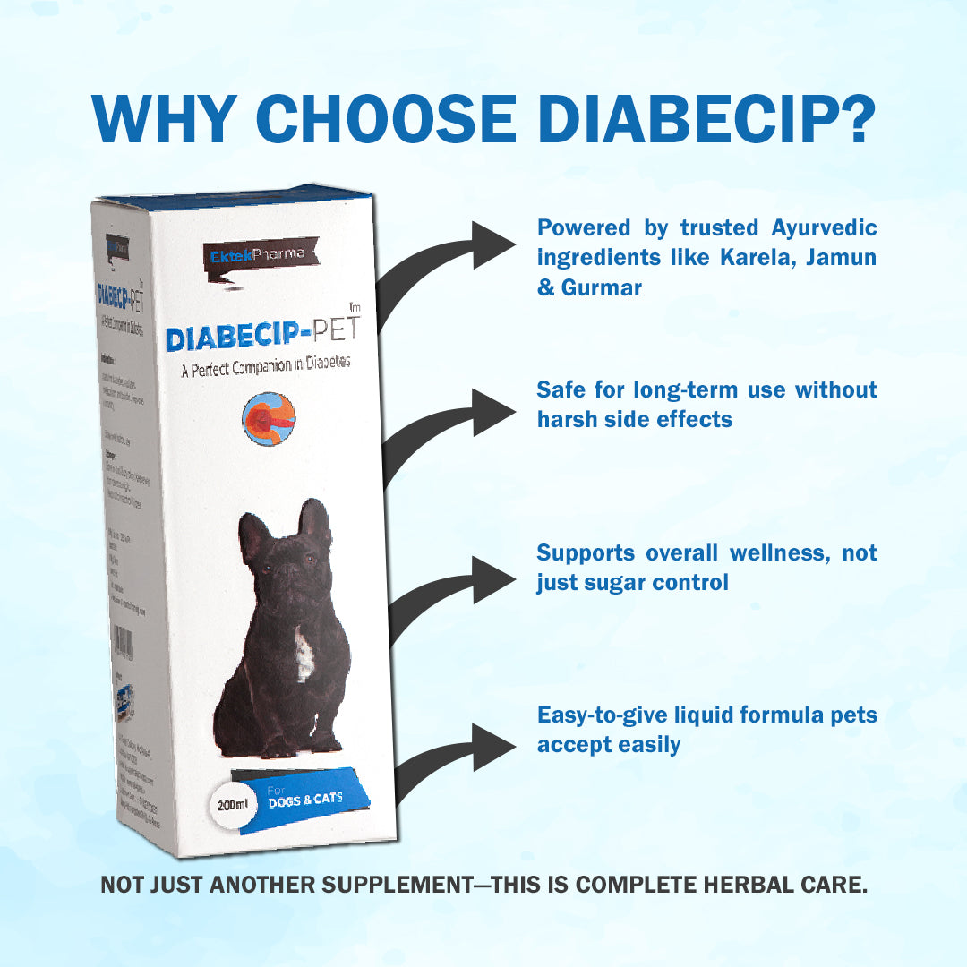Diabecip Pet Syrup- 200ml (A Perfect Companion in Diabetes)