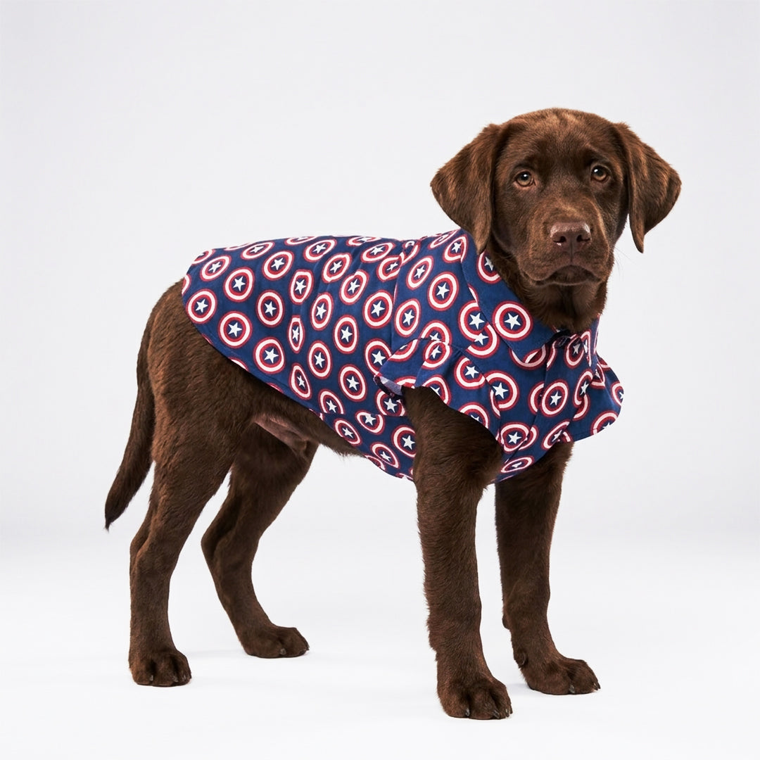 Star Print Dog Shirt with Velcro Closure