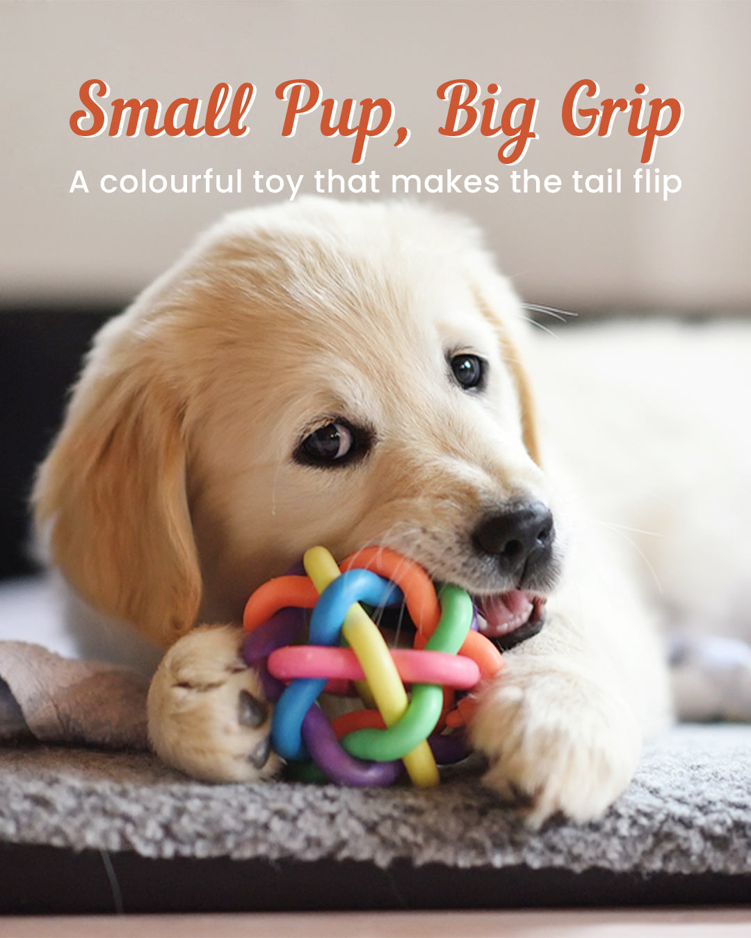 Dog chew ball toy with braided knot design and bell