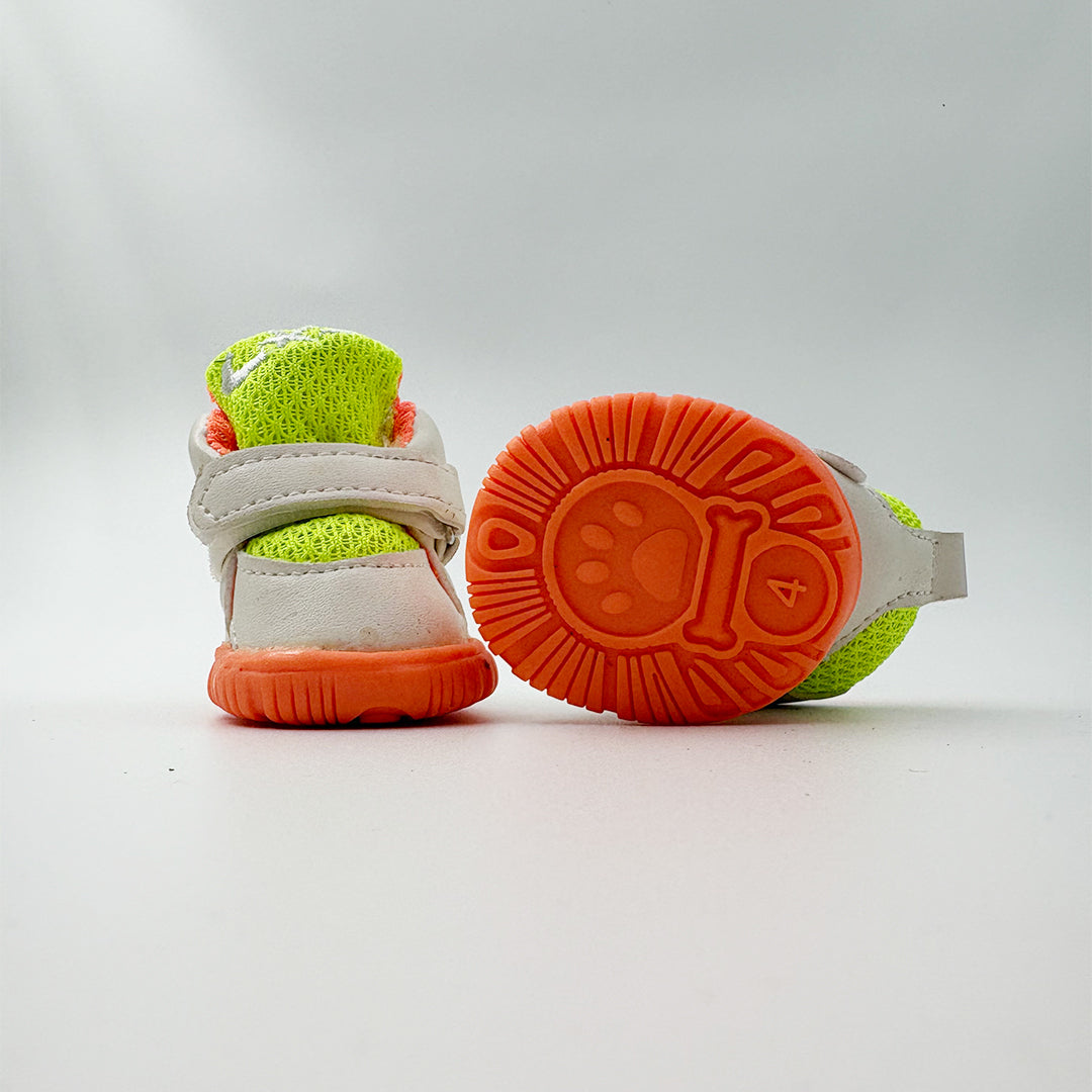 Dog shoe size chart for Pomeranian, Shih Tzu, and small dogs – paw measurement guide