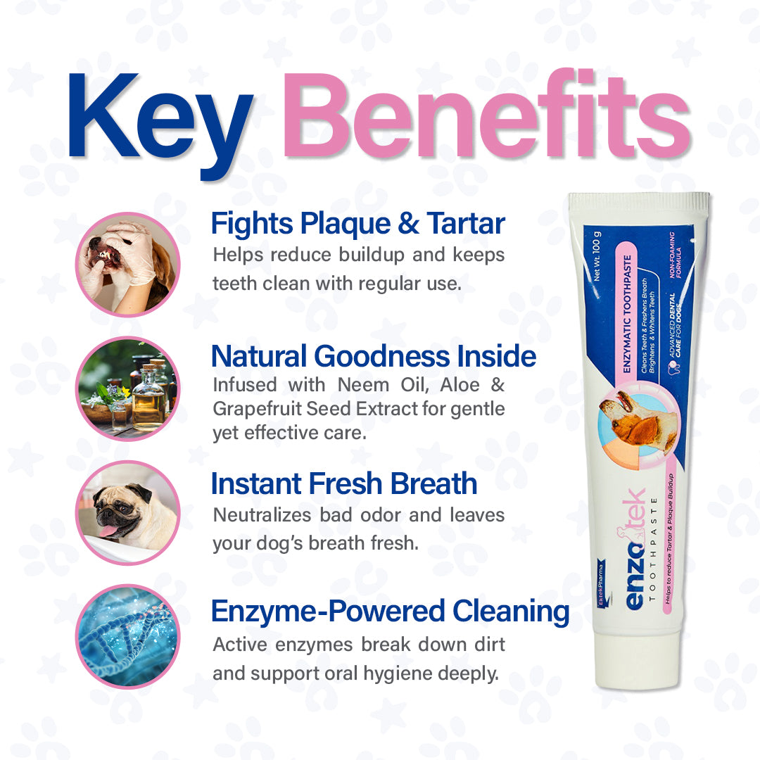 key benefits of Enzotek dog toothpaste