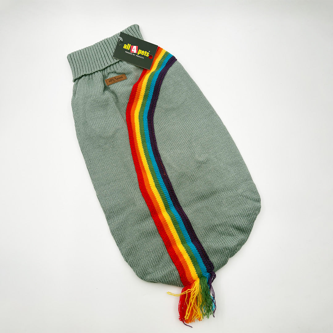 Dog wearing rainbow high-neck cardigan celebrating Pride month